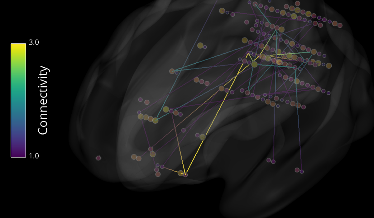 3D Connectivity